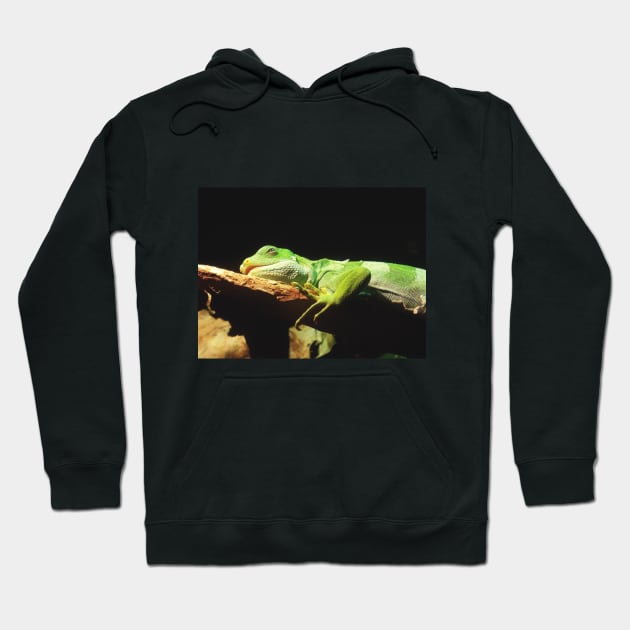 Iguana Take A Nap Hoodie by JenPerry